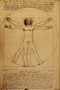 Studio del corpo umano da Leonardo da Vinci